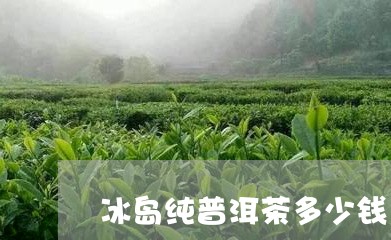 冰岛纯普洱茶多少钱/2023071138602