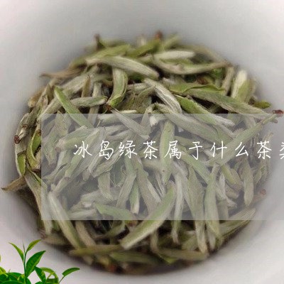 冰岛绿茶属于什么茶类/2023061298581