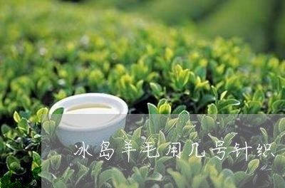 冰岛羊毛用几号针织/2023042674957