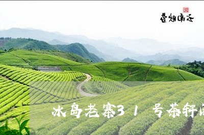 冰岛老寨31号茶轩阁/2023061109691