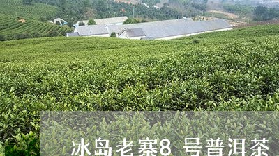 冰岛老寨8号普洱茶/2023120560493