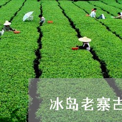 冰岛老寨古树茶价格及图片大全/2023053146371