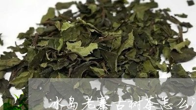 冰岛老寨古树茶怎么泡/2023092205938