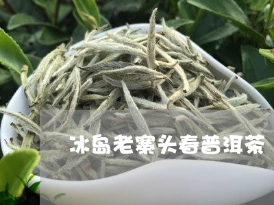 冰岛老寨头春普洱茶/2023121596261