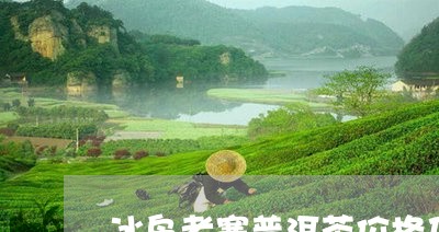 冰岛老寨普洱茶价格及图片及价格/2023082872139