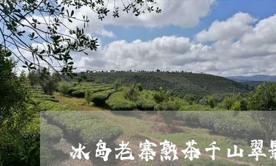 冰岛老寨熟茶千山翠影/2023061237481