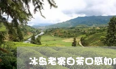 冰岛老寨白茶口感如何样/2023082562824