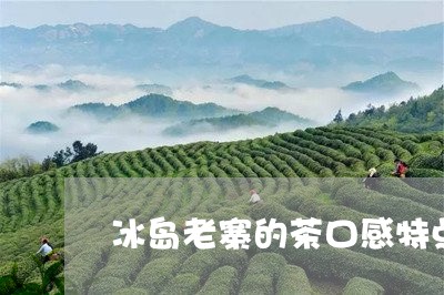 冰岛老寨的茶口感特点/2023092380792