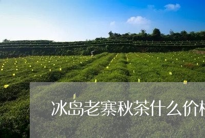 冰岛老寨秋茶什么价格/2023061221724