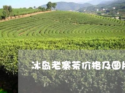 冰岛老寨茶价格及图片/2023092338284