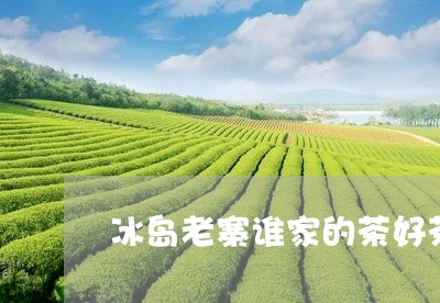 冰岛老寨谁家的茶好茶/2023092323794