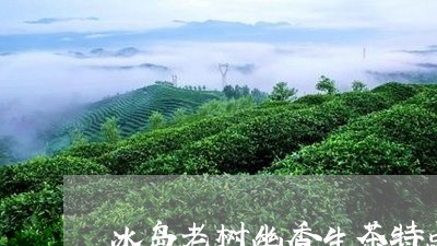 冰岛老树幽香生茶特点/2023092339504