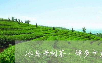 冰岛老树茶一饼多少克/2023092396040