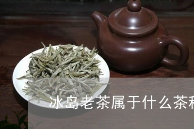 冰岛老茶属于什么茶种/2023092362695