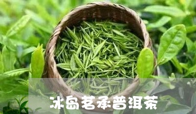 冰岛茗承普洱茶/2023101689393