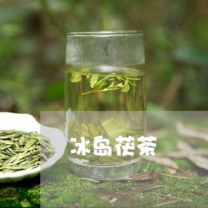 冰岛茯茶/2023090113698