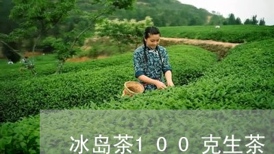 冰岛茶100克生茶/2023042661707