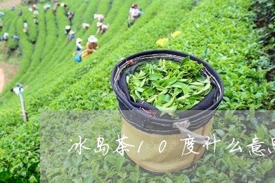 冰岛茶10度什么意思/2023061235037