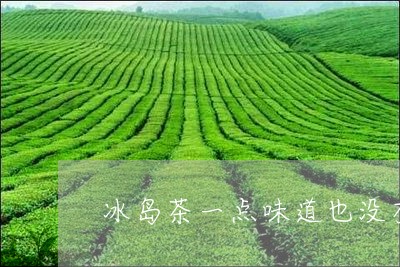 冰岛茶一点味道也没有/2023092395938