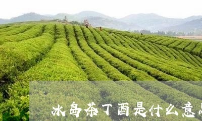 冰岛茶丁酉是什么意思/2023092262726