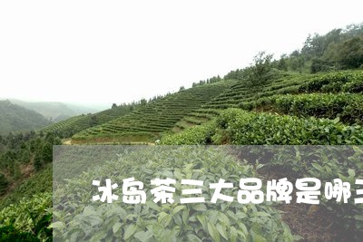 冰岛茶三大品牌是哪三个国家/2023052681606