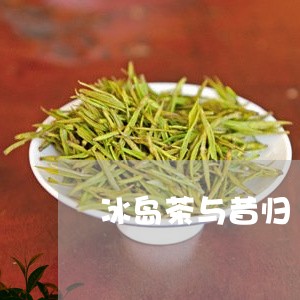 冰岛茶与昔归/2023090730491