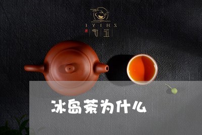 冰岛茶为什么/2023090766272