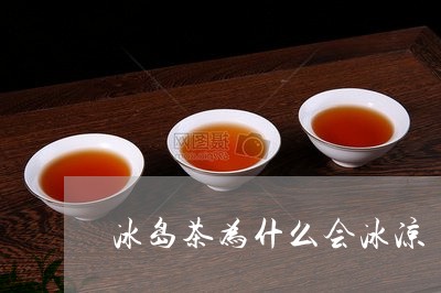 冰岛茶为什么会冰凉/2023042643948