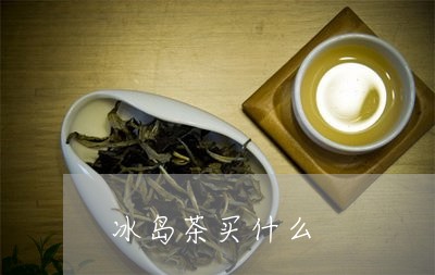 冰岛茶买什么/2023090723725