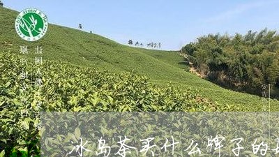 冰岛茶买什么牌子的好/2023061252707