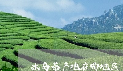 冰岛茶产地在哪地区/2023042626279