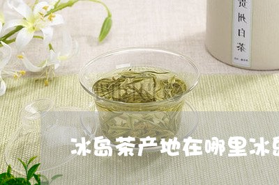 冰岛茶产地在哪里冰岛茶叶的/2023052681605