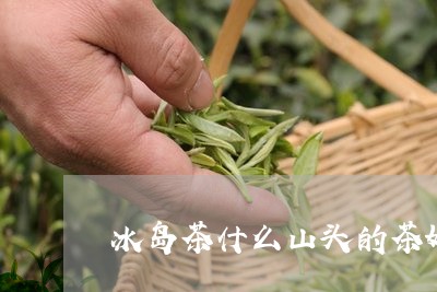 冰岛茶什么山头的茶好/2023061249692