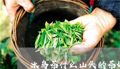 冰岛茶什么山头的茶好/2023092344928