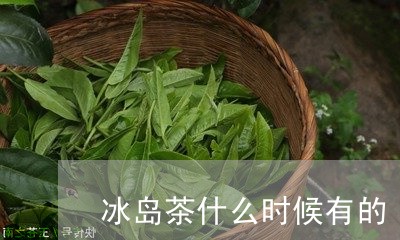 冰岛茶什么时候有的/2023042626492