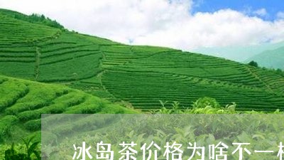 冰岛茶价格为啥不一样/2023061228573