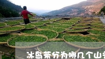 冰岛茶分为哪几个山头/2023061238379