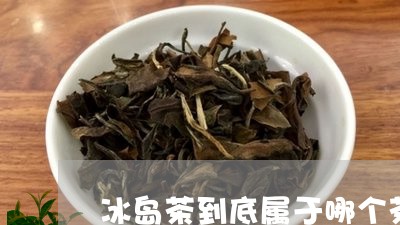 冰岛茶到底属于哪个茶叶公司/2023052708591