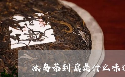 冰岛茶到底是什么味道/2023061291728