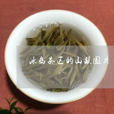 冰岛茶区的山头图片/2023042630593