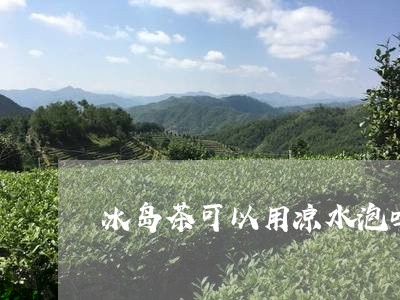 冰岛茶可以用凉水泡吗/2023061284859