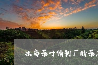 冰岛茶叶精制厂的茶怎么样/2023051264957