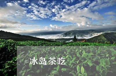 冰岛茶吃/2023090196362