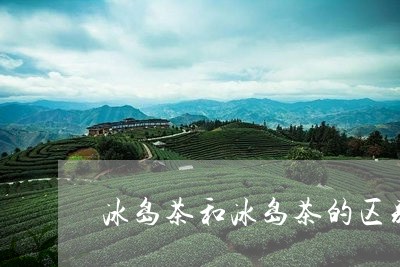 冰岛茶和冰岛茶的区别/2023092335046