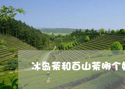 冰岛茶和百山茶哪个好/2023092317151