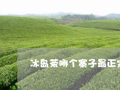 冰岛茶哪个寨子最正宗/2023092314158