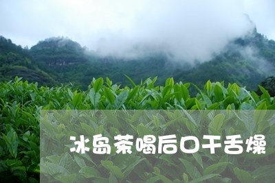 冰岛茶喝后口干舌燥/2023042646250