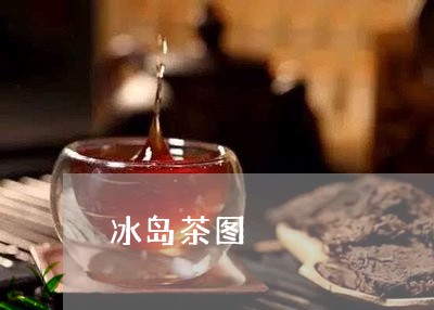 冰岛茶图/2023121853714