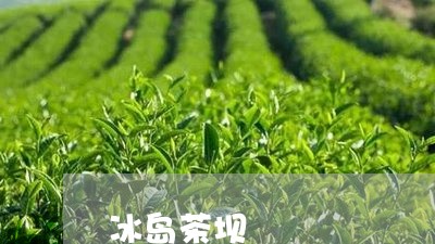 冰岛茶坝/2023090181707