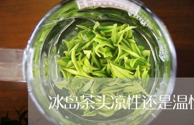 冰岛茶头凉性还是温性/2023061292706